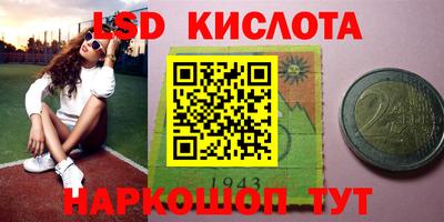 PSILOCYBIN Кулебаки