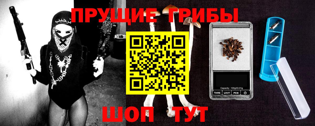 Сыктывкар  Псилоцибиновые грибы прущие грибы  где найти наркотики  Вход с VPN  Псилоцибиновые грибы Cubensis 
